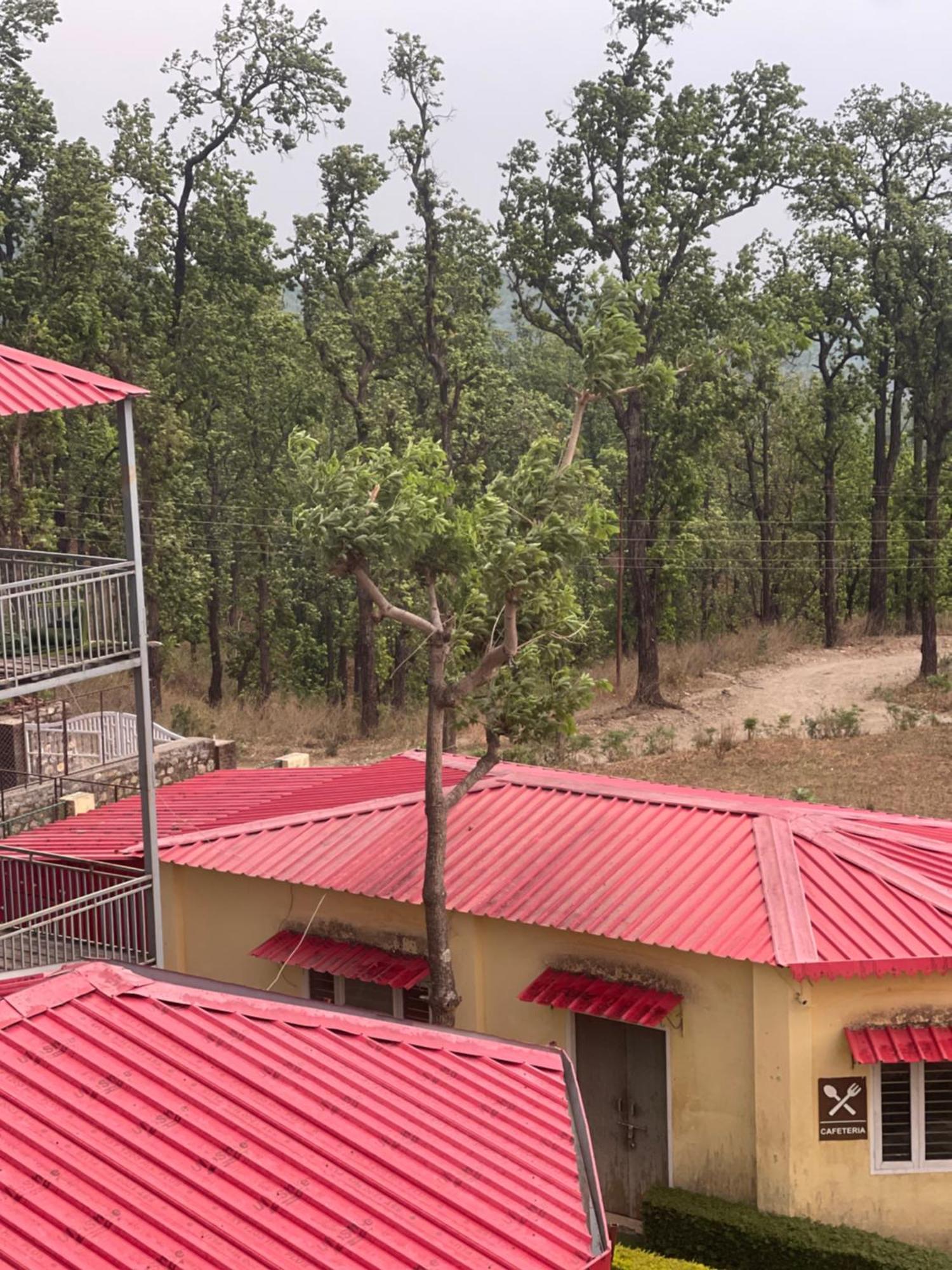 Hidden Nature Resort Dehradun Exterior foto